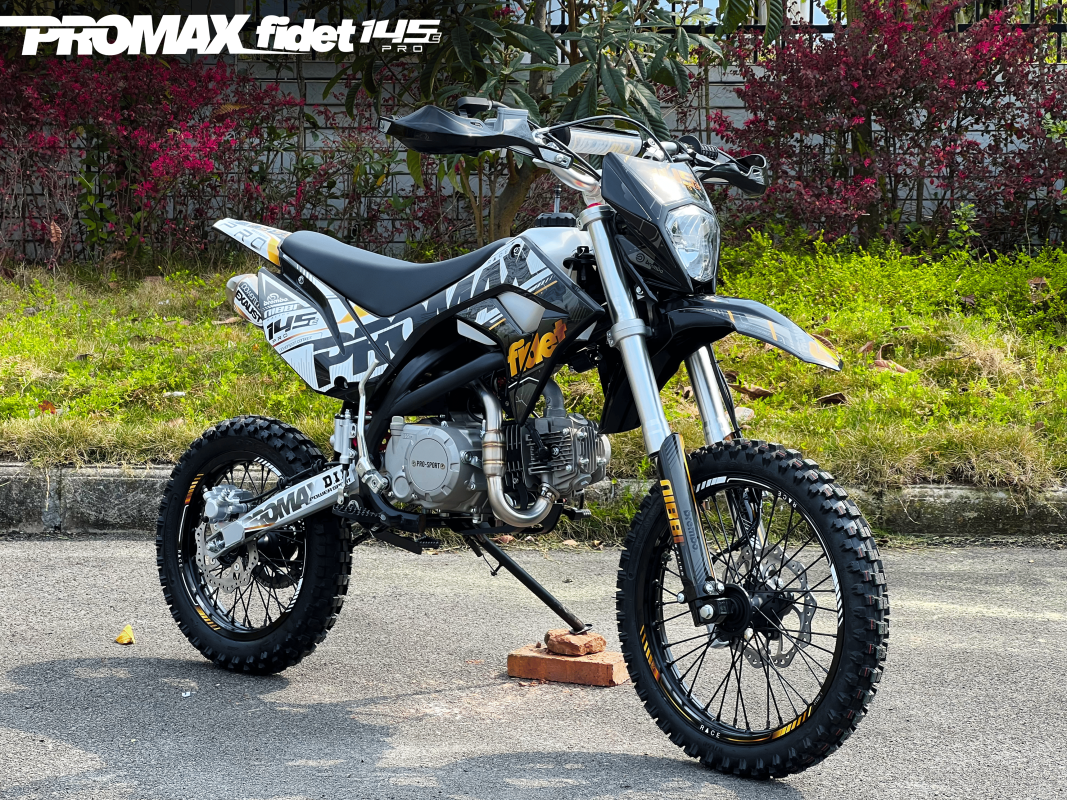 Мотоцикл (питбайк) PROMAX FIDET (ФАЙДЕТ) 145E PRO 14/12